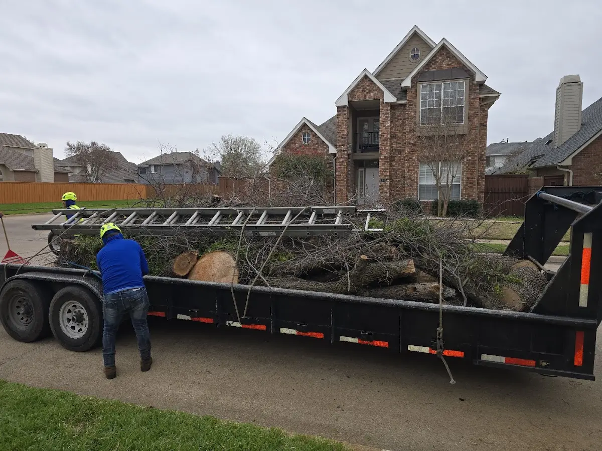 Expert Lot Clearing with proper safety equipment in Hot Springs